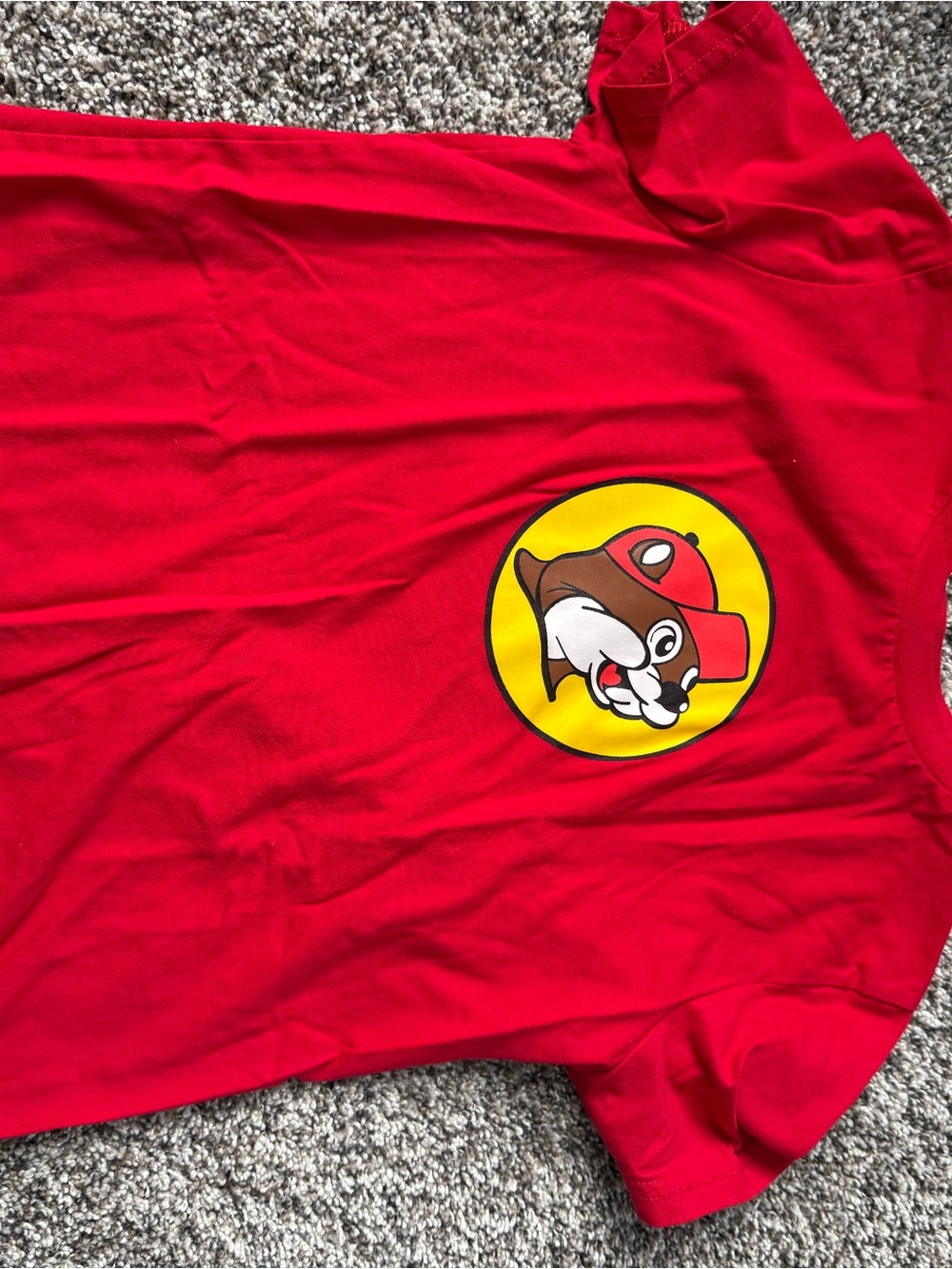 Red Short Sleeve Kids Tee with Playful Mascot Graphic